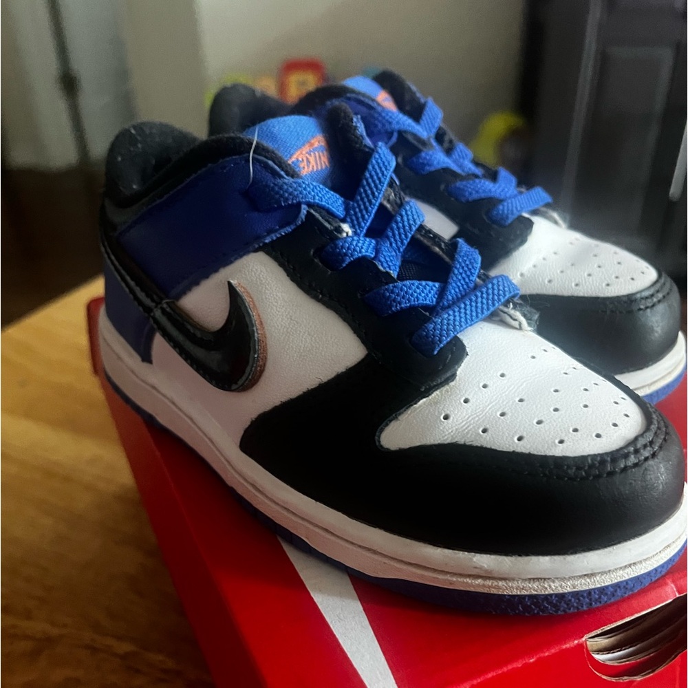 Toddler Nike Dunk 9c Used